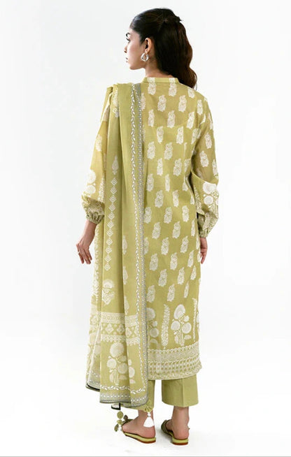 Sahar-Elegant Olive Green 3 Piece Embroidered Suit