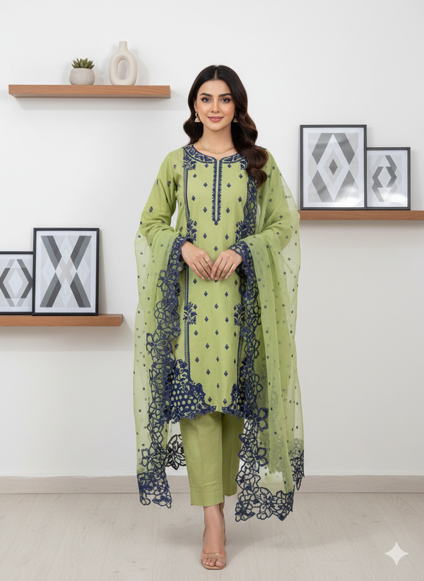 Embroided 3 pec dress